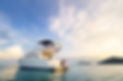 Friendship and luxury vacation. Two happy young women sitting on the yacht deck looking an