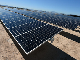 What made solar panels so cheap? Thank government policy.