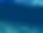 Background copy2.png