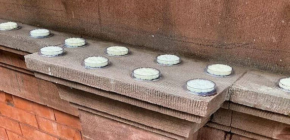 entreprise Agilys Services Pose dispositifs Free Bird, Paris et Ile de France, nuisances aviaires, anti pigeon, anti volatiles, dépigeonnisation, dépigeonnage, lutte anti volatiles