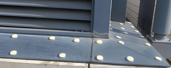 entreprise Agilys Services Pose dispositifs Free Bird, Paris et Ile de France, nuisances aviaires, anti pigeon, anti volatiles, dépigeonnisation, dépigeonnage, lutte anti volatiles