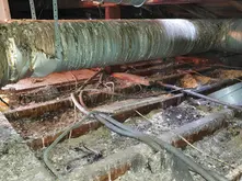 Infestation de pigeons dans les combles - Agilys Services