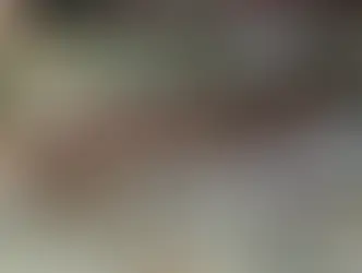 Infestation de pigeons dans les combles - Agilys Services