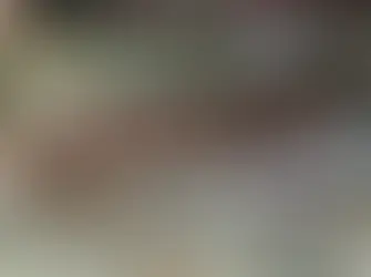 Infestation de pigeons dans les combles - Agilys Services