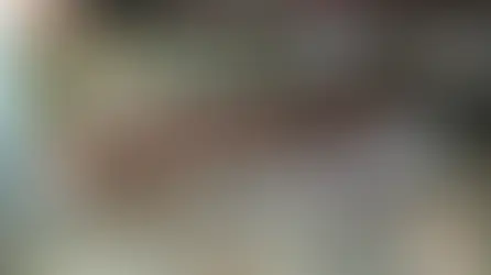 Infestation de pigeons dans les combles - Agilys Services