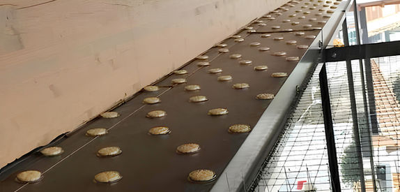 entreprise Agilys Services Pose dispositifs Free Bird, Paris et Ile de France, nuisances aviaires, anti pigeon, anti volatiles, dépigeonnisation, dépigeonnage, lutte anti volatiles