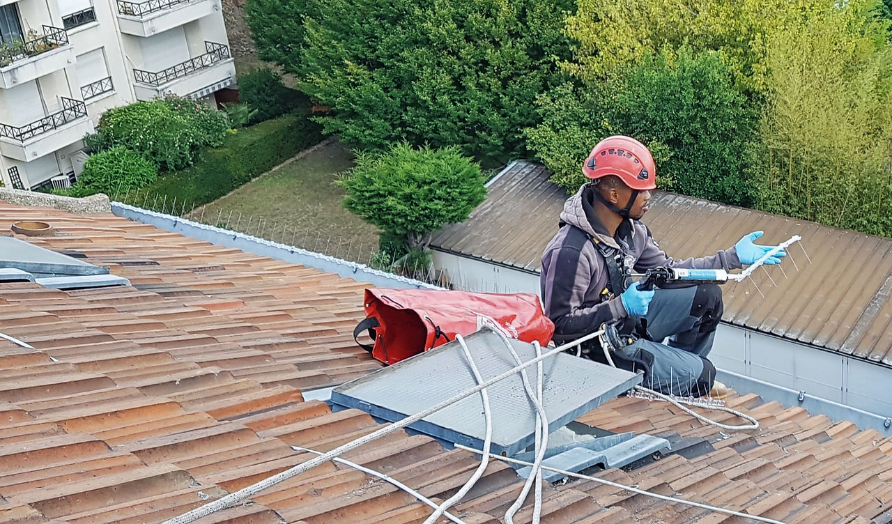 Pics anti pigeons, protection des joues de gouttières par un technicien cordiste, entreprise d'installation Agilys Services, Paris et Ile de France