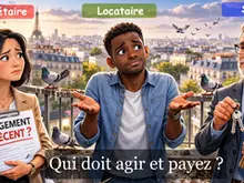 Agilys Services - Ile de France -  Pigeons dans un logement : propriétaire, locataire ou syndic, qui doit agir et payer ?