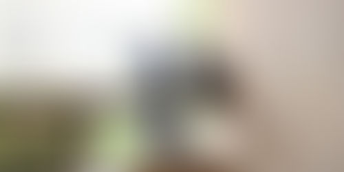 Ai-je le droit d'installer un filet anti pigeon sur un balcon ?