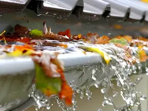 Gouttière bouchée par des feuilles - débordement