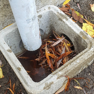 Regard rempli de feuille - Agilys Services Nettoyage de gouttière