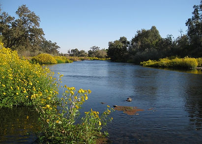 merced river.jpg