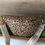 Thumbnail: Leopard Print Crossbody Bag