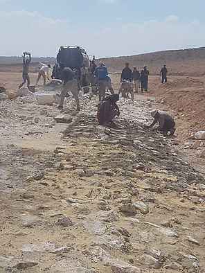 WhatsApp Image 2022-12-09 at 1.20.16 PM.jpeg