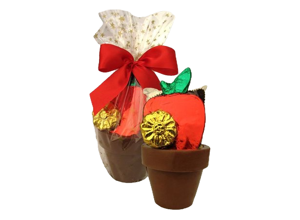 Flower Pot, Medium Teacher