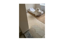 My bedroom (28/10/24)