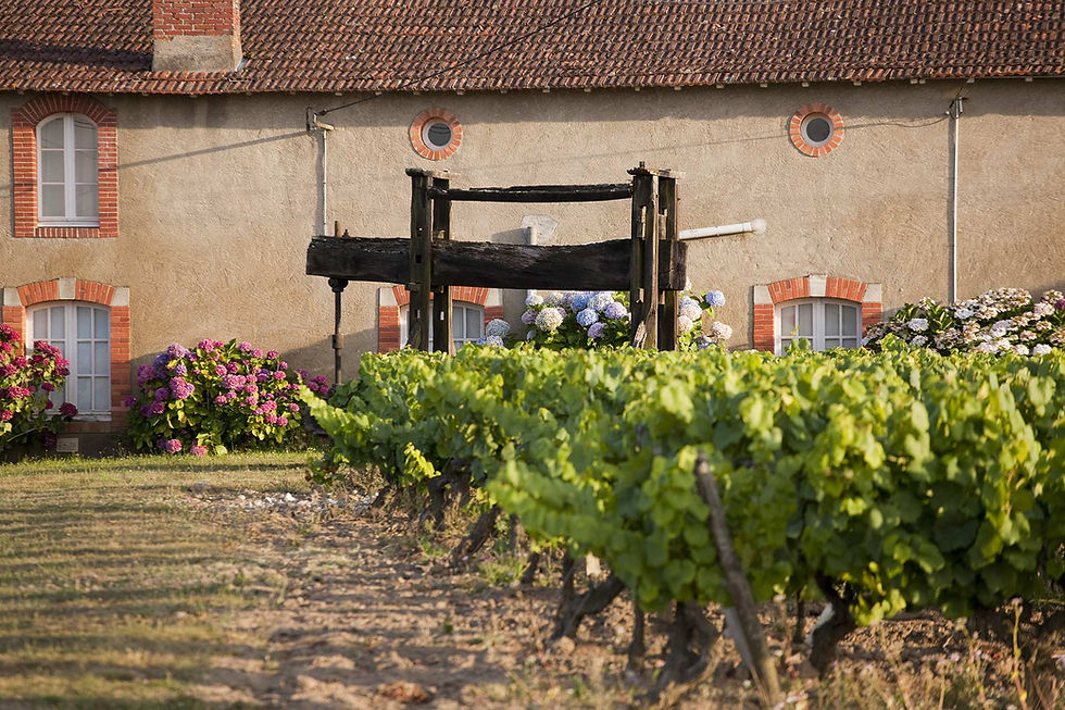 HYVERNIERE-CHATEAU