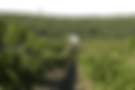 tdsh_entree_sept2015-(16) (1).png