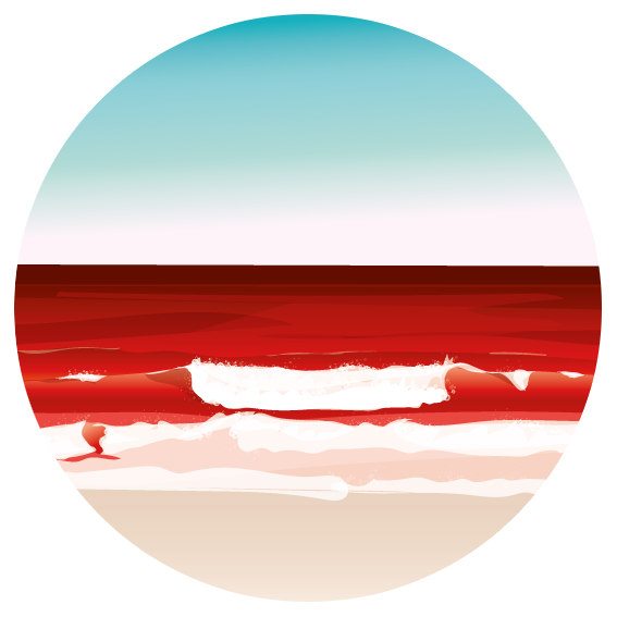 230711-BDB-beachbreak2.png