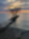 sunrise-5105129_1280.jpeg