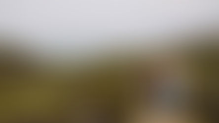 Martin-Riley Family Photos at Tennessee Beach in Marin, CA