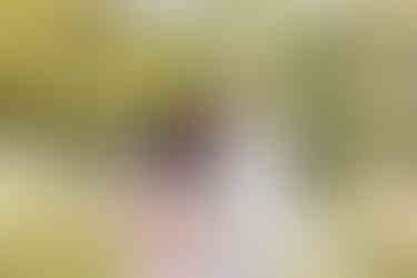 black and hispanic pregnant couple in Sacramento rose garden