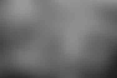 Groomsmen under cherry blossoms at spring wedding at the Brazilian Room in Berkeley, CA