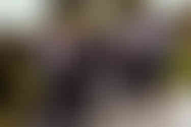 Groomsmen under cherry blossoms at spring wedding at the Brazilian Room in Berkeley, CA