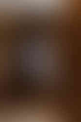 Bride hanging her dress at the Brazilian Room in Berkeley, CA