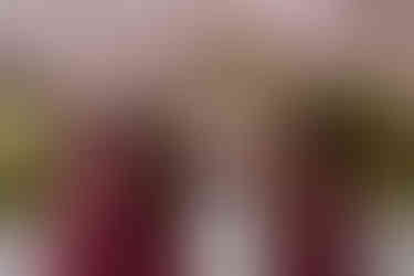 Bridemaids under cherry blossoms at spring wedding at the Brazilian Room in Berkeley, CA