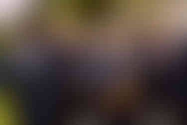 Groomsmen at the Brazilian Room in Berkeley, CA