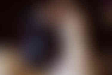 Cake cutting at the Brazilian Room in Berkeley, CA