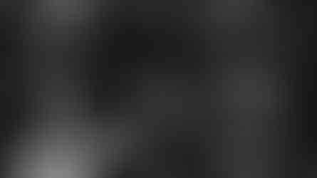 Wedding toasts at the Brazilian Room in Berkeley, CA