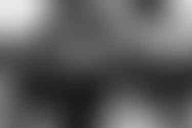 Groomsmen under cherry blossoms at spring wedding at the Brazilian Room in Berkeley, CA