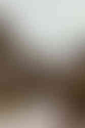 Bride and Groom at the Brazilian Room in Berkeley, CA