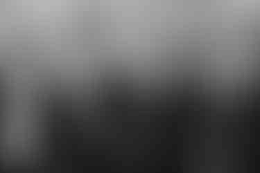 Groomsmen under cherry blossoms at spring wedding at the Brazilian Room in Berkeley, CA