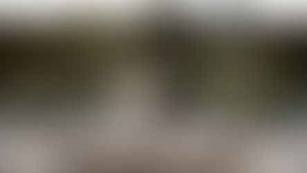 Rae and Gabriel's Wedding at the Temescal Beach House in Oakland, California 