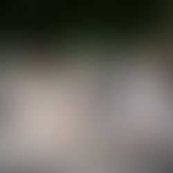 Senior Portraits, UC Davis