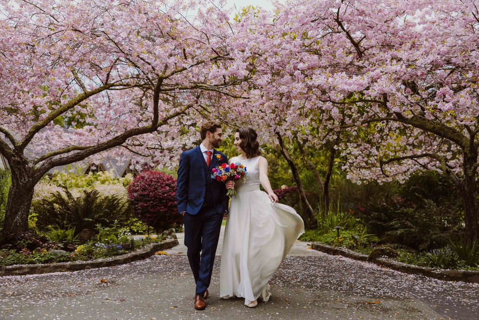 Bride and groom walking under cherry blossoms at the Brazilian Room in Berkeley, CA