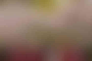 Groomsmen under cherry blossoms at spring wedding at the Brazilian Room in Berkeley, CA