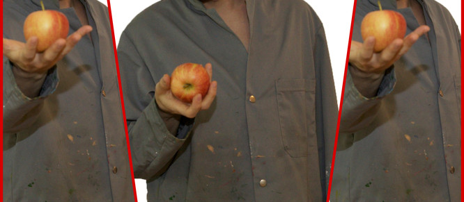 Der Apfel