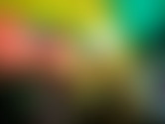 Bajo la Misma Bandera