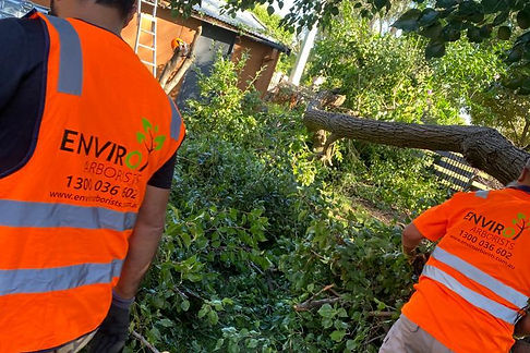 WhatsApp Image 2023-06-14 at 10.24.23 PM (5).jpeg