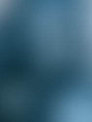 Unveiling the Magic: How Drones Work - A Step-by-Step Guide