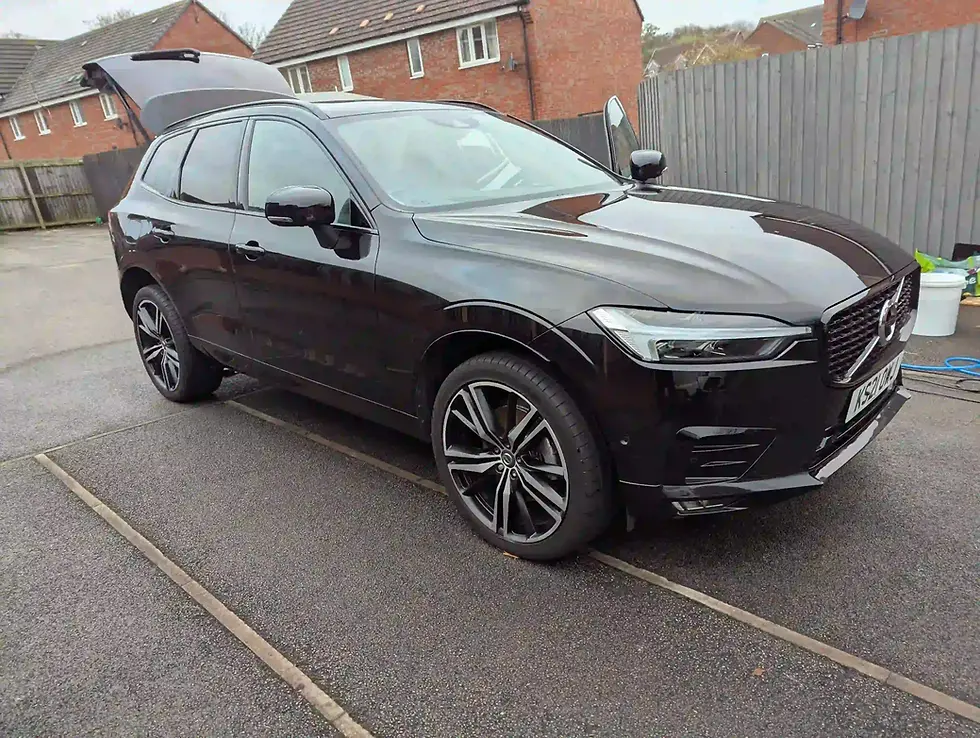 Professional Detailing 