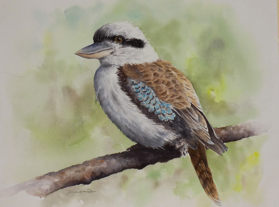 kookaburra painting.jpg