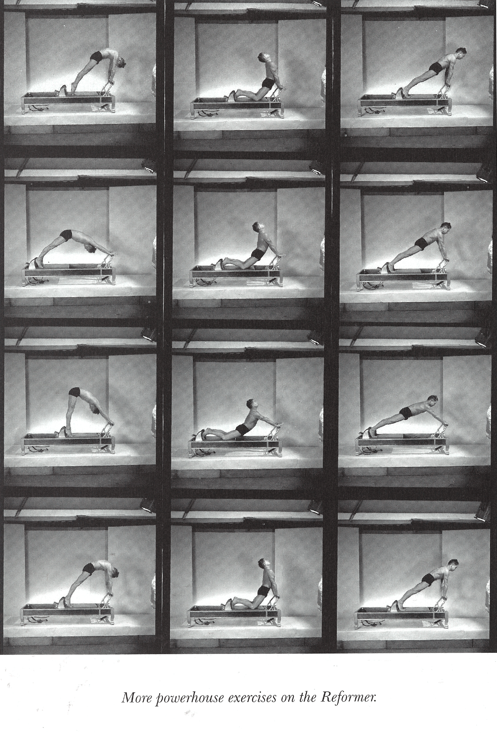 Joe-Reformer-4