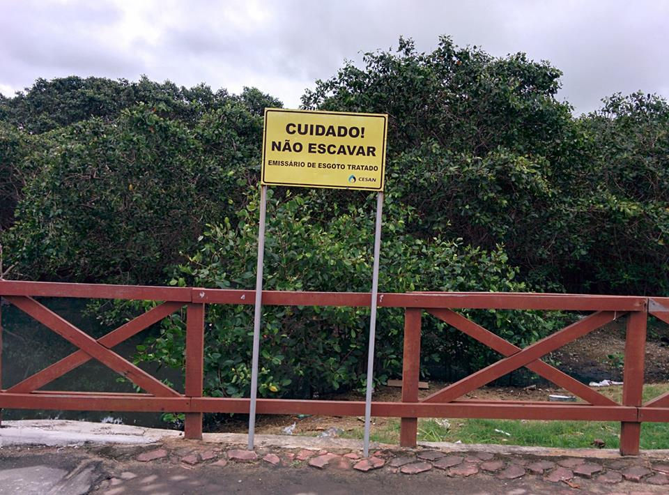 mangue1.jpg