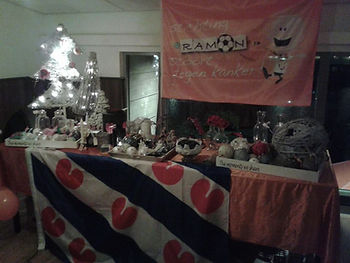 Actie Stay Okay Hotel Sneek- Stichting Ramon scoort tegen kanker.jpg