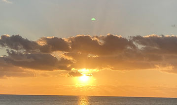 IMG-4777.jpg
